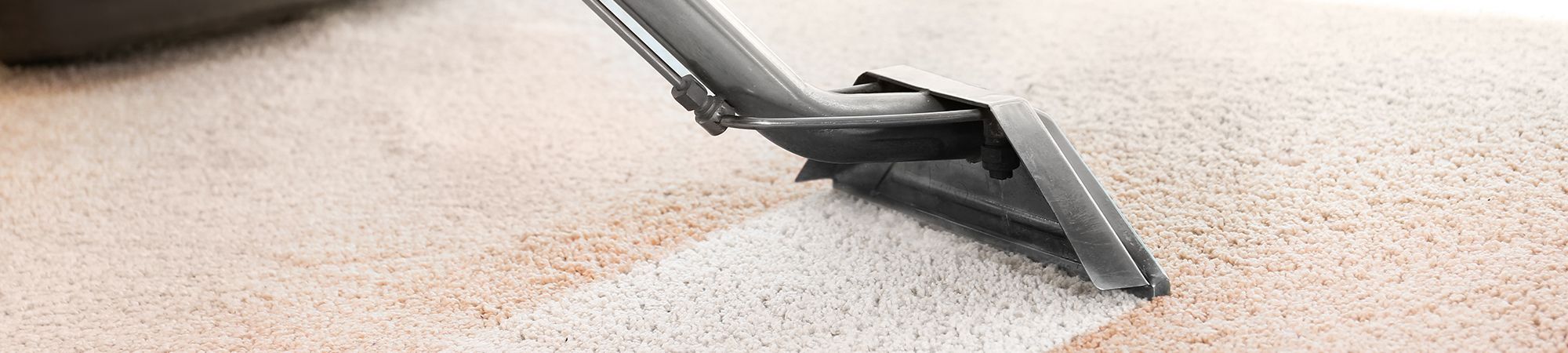 Carpet Cleaning
