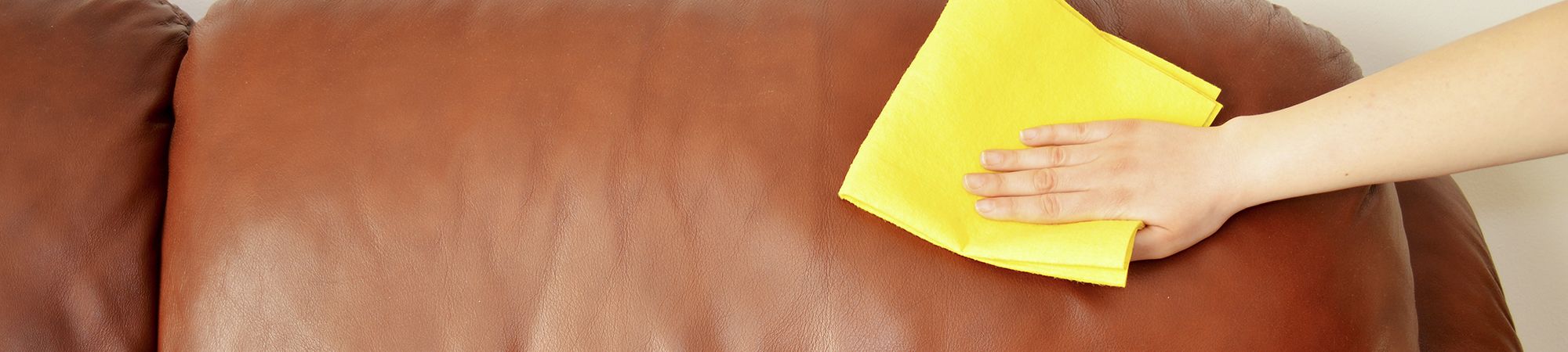 Leather Sofa Cleaning