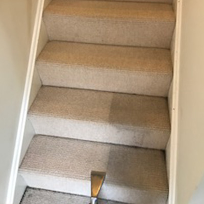 Carpet Cleaning <br />Testimonials